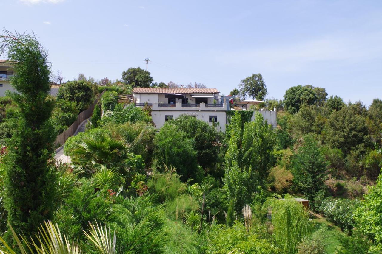 Appartement F2 Avec Terrasse De 35 M2 Bomorto - Porticcio Porticcio  Buitenkant foto