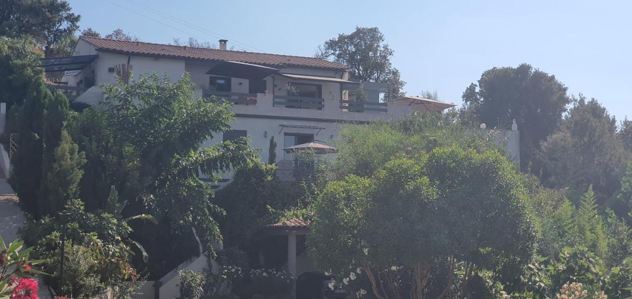 Appartement F2 Avec Terrasse De 35 M2 Bomorto - Porticcio Porticcio  Buitenkant foto